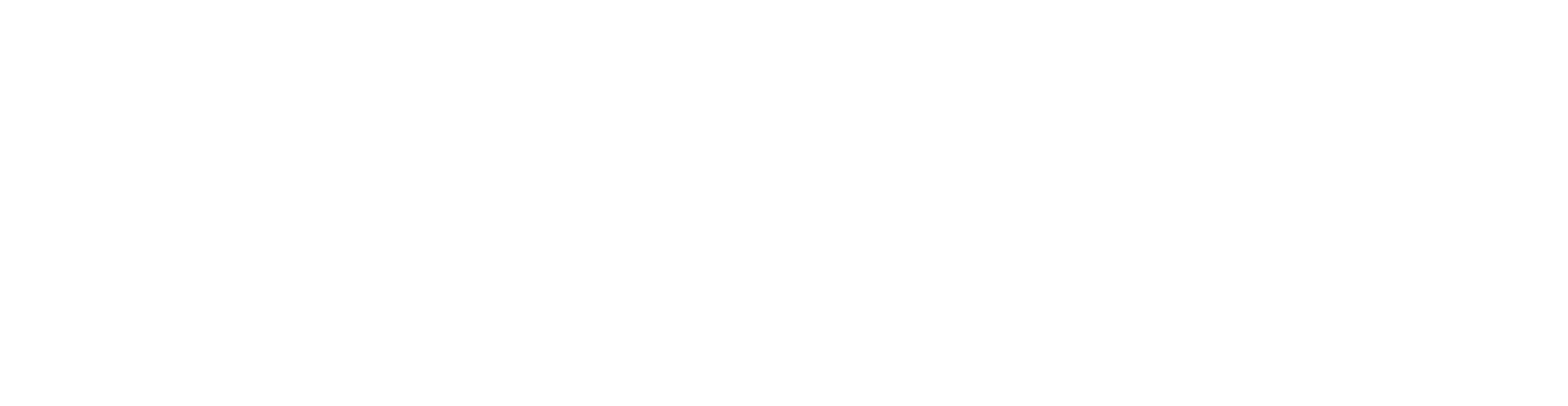 Aerosoft_Logo_White Kopie